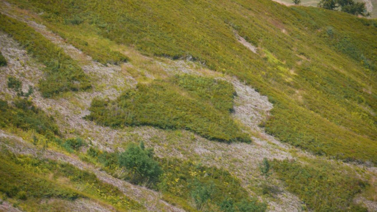 コンブルーLa Grande Cordee - Coeur D'Alpageアパートメント エクステリア 写真